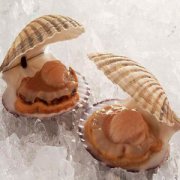 【蒸扇貝】蒸扇貝的做法_蒸扇貝