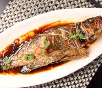 【野生石斑魚價(jià)格】野生石斑魚好吃嗎_野生石斑魚的營(yíng)養(yǎng)價(jià)值