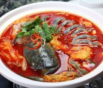 【鯰魚的營(yíng)養(yǎng)價(jià)值】鯰魚的做法大全_鯰魚燉茄子