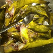 黃顙魚和鯽魚哪個(gè)營(yíng)養(yǎng)價(jià)值高