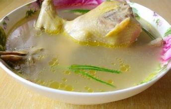 鴿子湯的做法大全