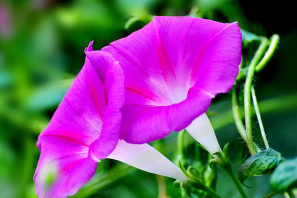 牽?；ǘ炜梢圆シN嗎