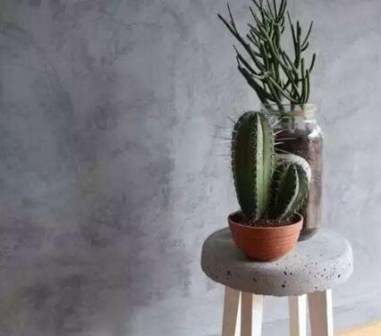 仙人掌的養(yǎng)殖方法和注意事項(xiàng)，小白都能學(xué)會的種植方法和技巧