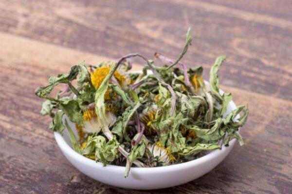 長(zhǎng)期喝干蒲公英水好嗎，長(zhǎng)期飲用會(huì)導(dǎo)致腹痛、腹瀉