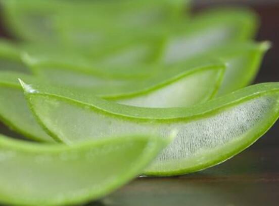 蘆薈膠的正確用法，教你三種效用最大的簡單方法