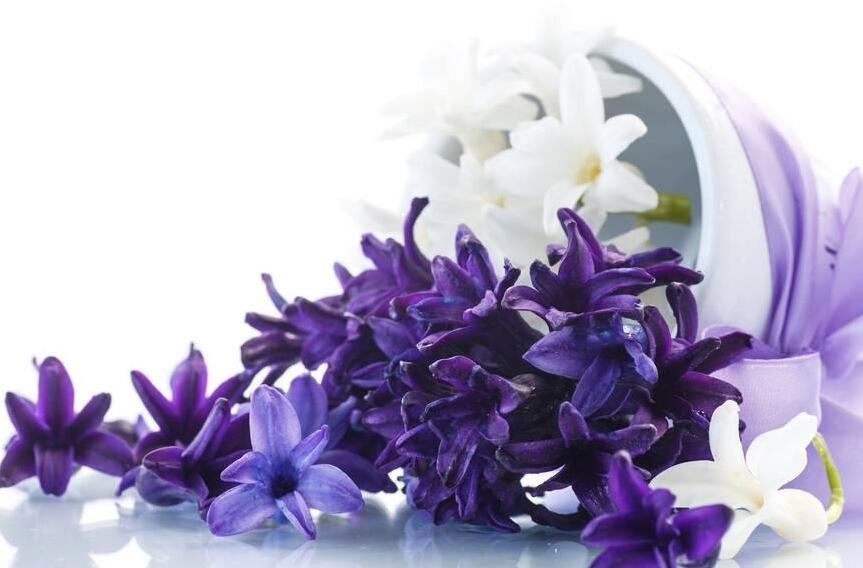 風(fēng)信子花期是什么時(shí)候，不同的品種不同的時(shí)間