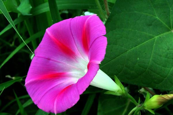 牽?；€根怎么辦