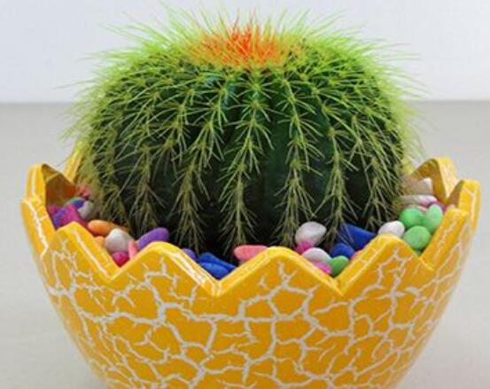 仙人球爛了怎么辦，及時(shí)修剪爛根、消毒/保持通風(fēng)透氣