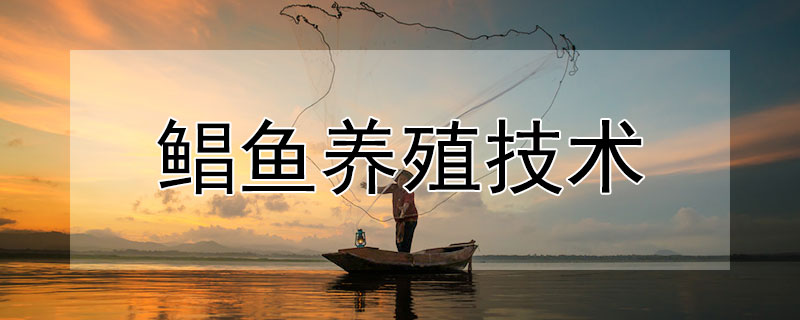 鯧魚(yú)養(yǎng)殖技術(shù)