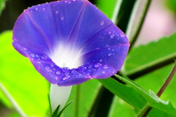 牽?；ㄏ矚g陽光還是陰涼