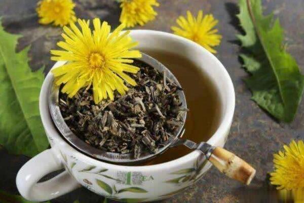 蒲公英茶哪些人不宜喝，體質(zhì)虛寒、過敏、孕婦都不宜飲用