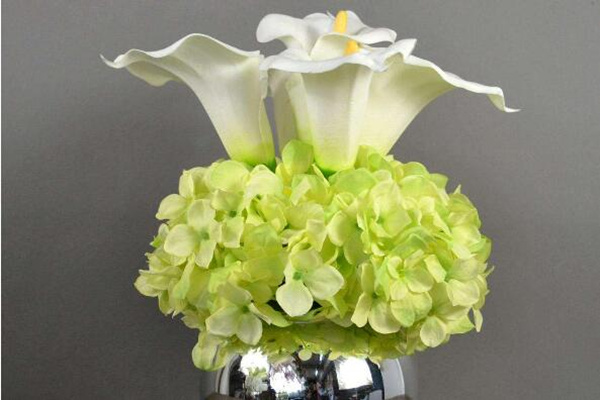 馬蹄蓮插花瓶能養(yǎng)多久，養(yǎng)護(hù)得當(dāng)可保存半個(gè)月以上