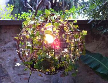 常春藤怎么水培，勤換水并且第一次要澆透營養(yǎng)液