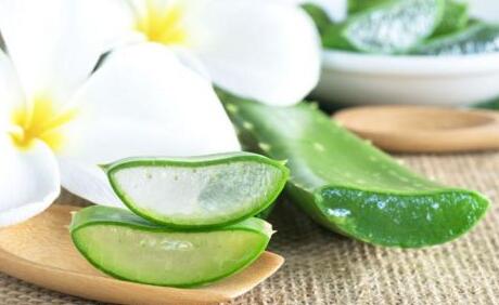 蘆薈美容的使用方法，自制美容小妙招