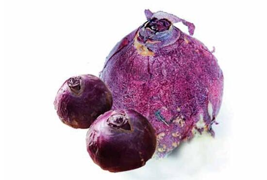 風(fēng)信子種球發(fā)霉怎么辦，涂抹滅菌靈、保持創(chuàng)面干燥