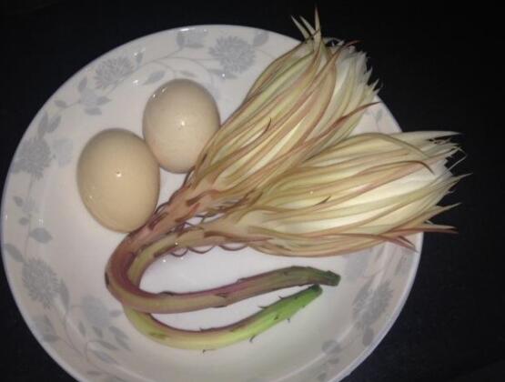 新鮮曇花怎么吃，泡茶喝最為簡單食用(價值高)