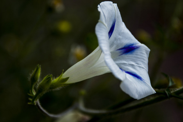 牽?；荛L(zhǎng)多高