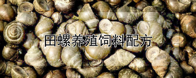 田螺養(yǎng)殖飼料配方