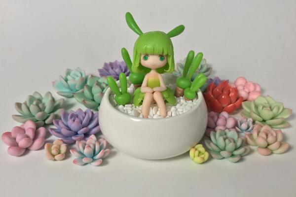 碧光環(huán)怎么種植，4步即可完成碧光環(huán)的種植