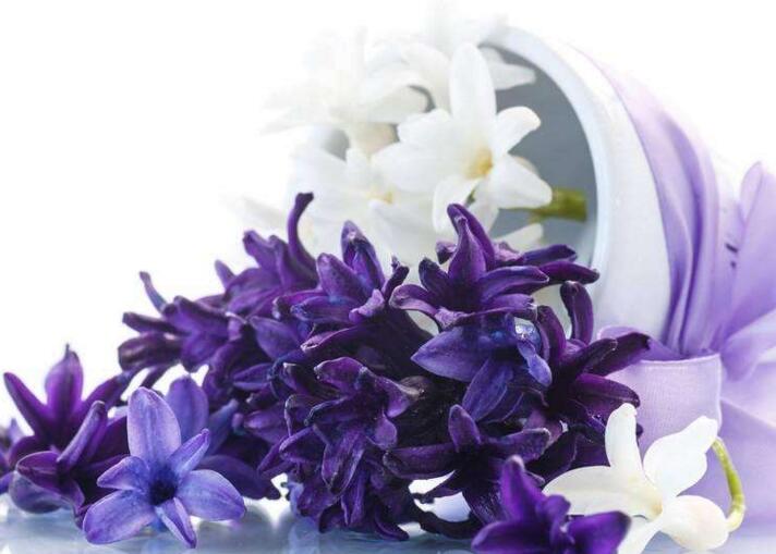 風(fēng)信子土培的養(yǎng)殖方法，要從土壤等5個(gè)方面注意