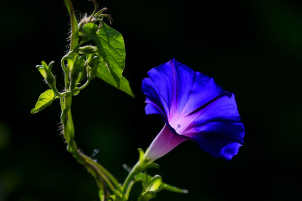 牽?；ㄇ锾鞎?huì)死嗎