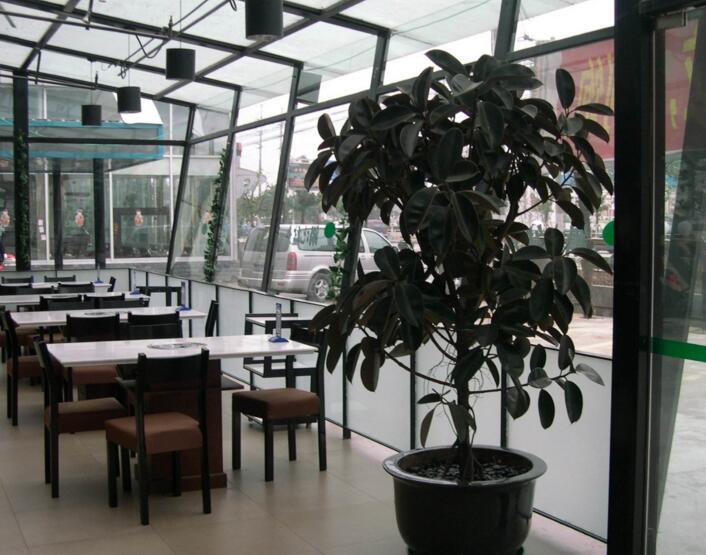 橡皮樹落葉子怎么回事，中自然原因和病害5種原因造成的