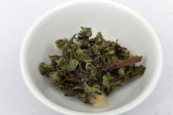 蒲公英泡水喝的禁忌，蒲公英泡水四大禁忌