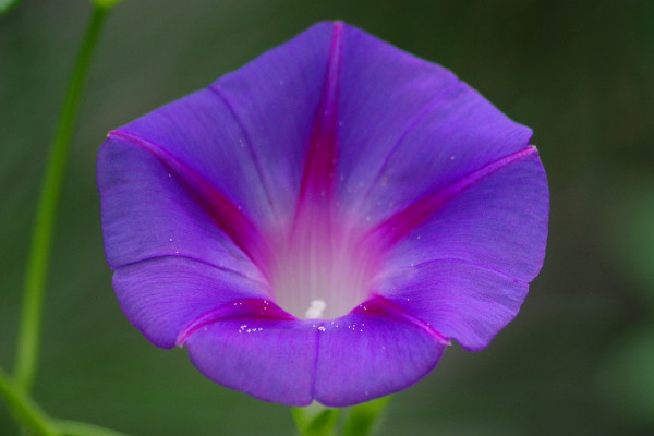 牽?；萘嗽趺崔k