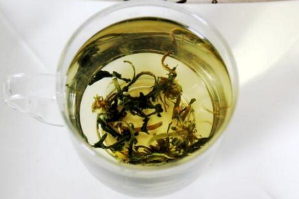 蒲公英泡水喝的禁忌，蒲公英泡水四大禁忌