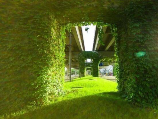 爬山虎和常春藤怎么區(qū)分，盤點(diǎn)三種區(qū)別方法(屬性/株型/生長習(xí)性)