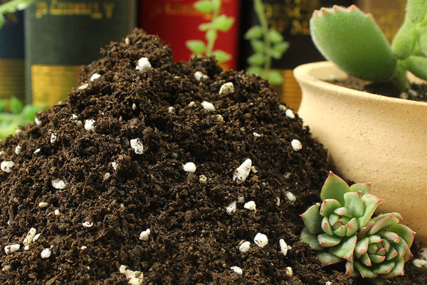 泥炭和草炭的區(qū)別