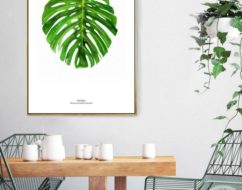 龜背竹放客廳風(fēng)水好嗎，對事業(yè)有助/對愛情有削弱的作用