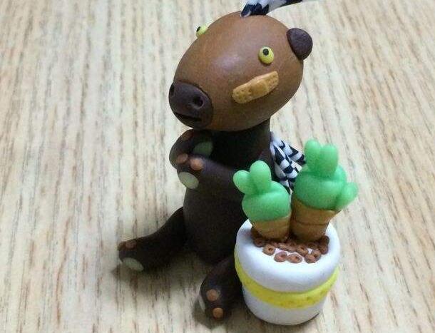 碧光環(huán)怎么繁殖，分播種和扦插兩種方法