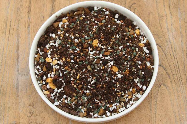 蒲公英種子種植方法，可以通過以下4步來進(jìn)行