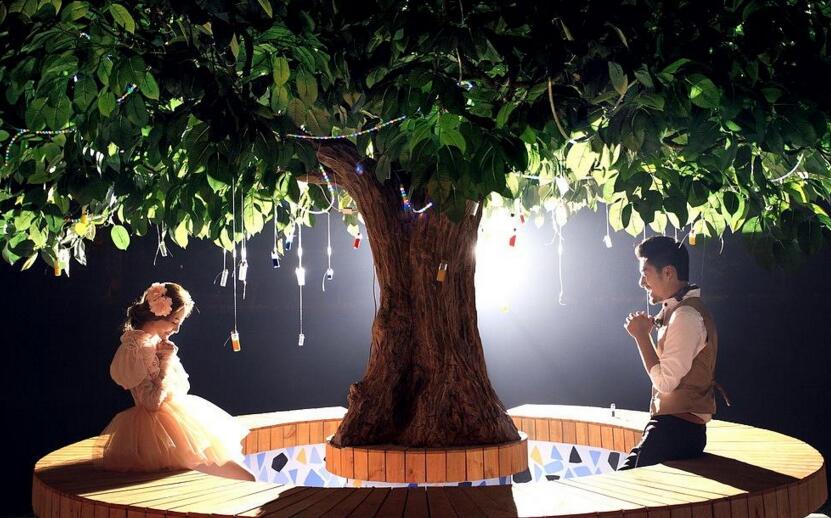 幸福樹的葉子全蔫了，從4個(gè)方面解決出現(xiàn)的問題