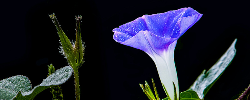 牽?；萘嗽趺崔k