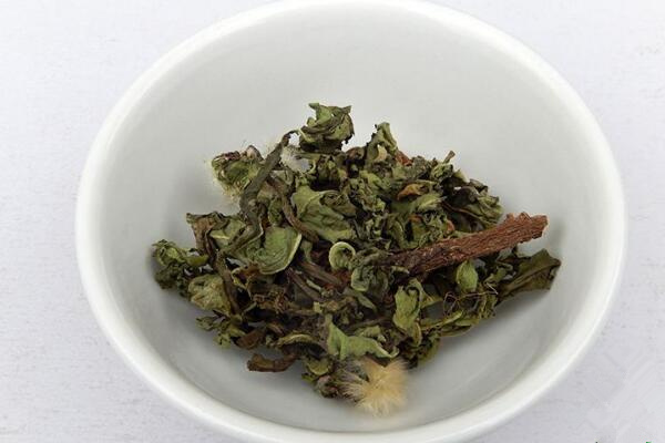 蒲公英泡水喝的禁忌，蒲公英泡水四大禁忌