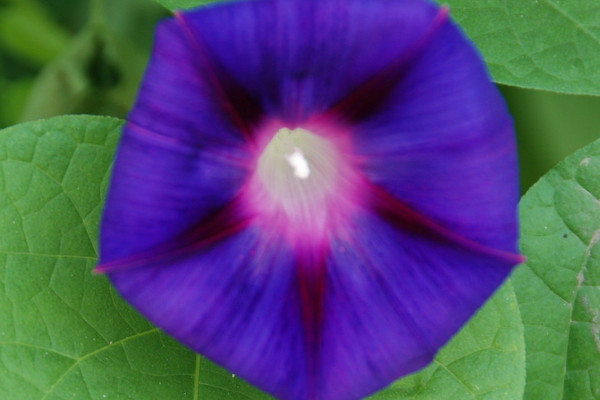 牽?；ㄏ矚g水嗎