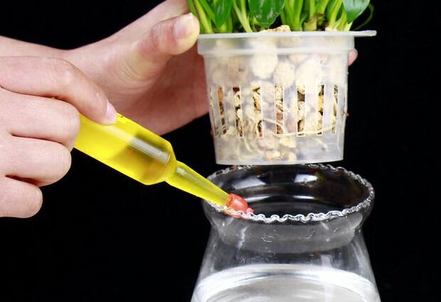 一帆風(fēng)順用什么營(yíng)養(yǎng)液，濃縮型營(yíng)養(yǎng)液（發(fā)芽多發(fā)枝快）