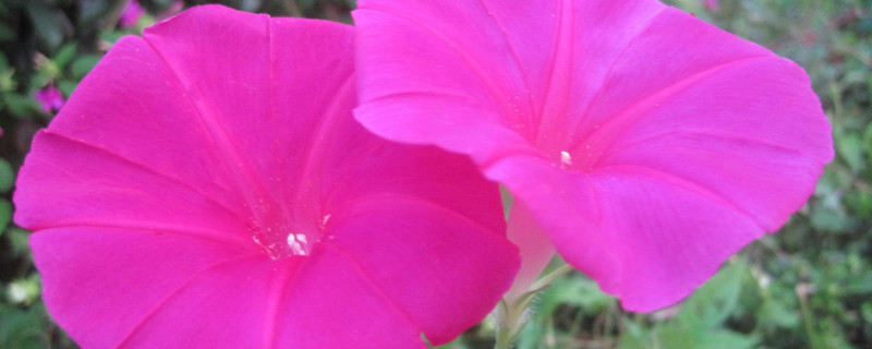 牽?；ǚN子可以用真空保存嗎