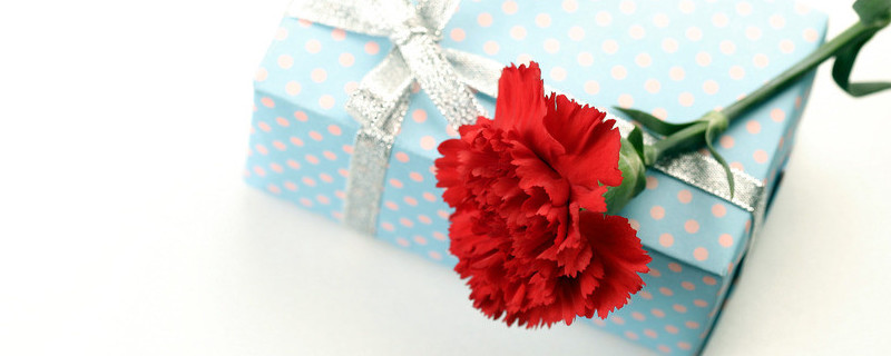 康乃馨如何養(yǎng)護(hù)