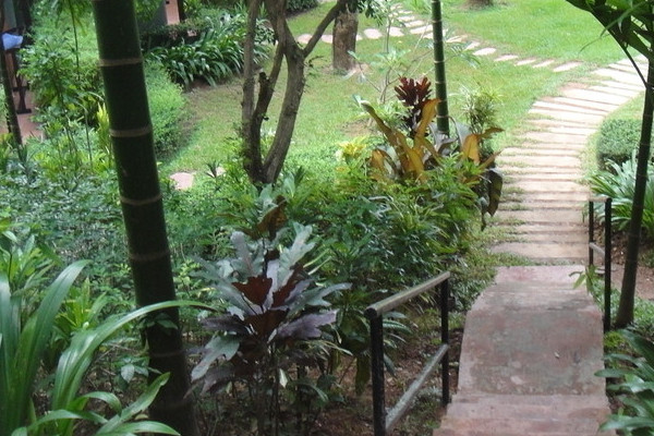 熱帶植物如何過(guò)冬