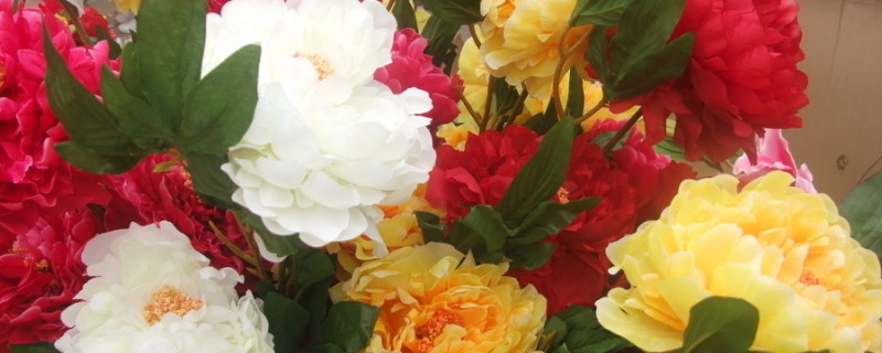 牡丹花夏天開(kāi)花嗎