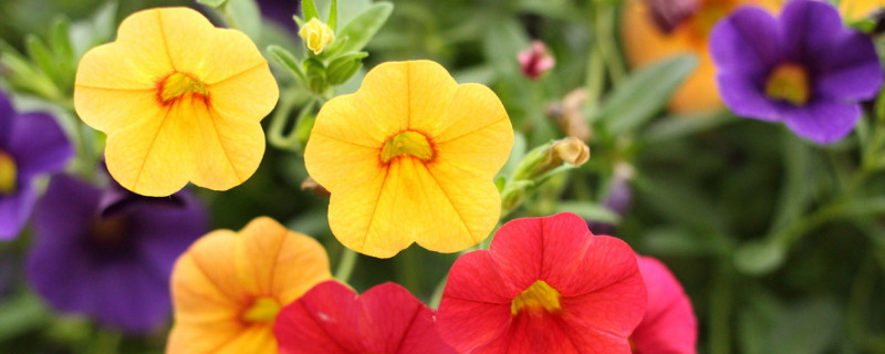 牽?；ㄏ矚g陽光還是陰涼