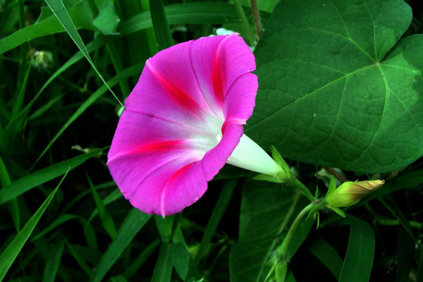 牽?；ㄇ锾鞎?huì)死嗎