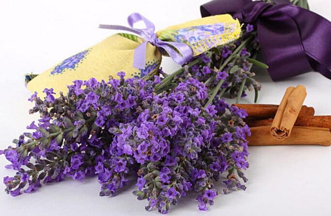 藍色薰衣草花語，一對戀人之間的心心相印