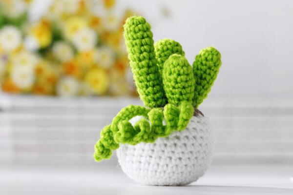 仙人掌的盆栽方法，5種方法讓你的仙人掌可愛多多