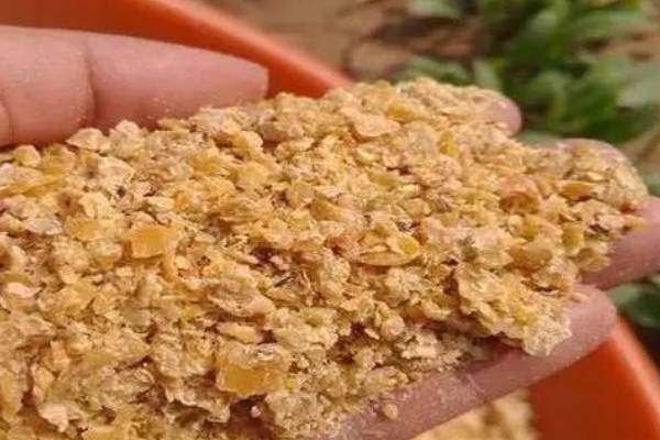 豆粕和豆餅?zāi)膫€(gè)喂養(yǎng)好