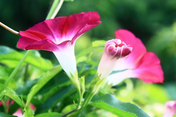 牽?；ńY(jié)果了怎么辦