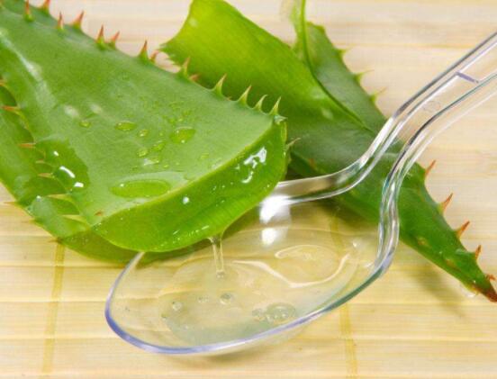 蘆薈美容正確使用方法，教你最實用的五種好用法